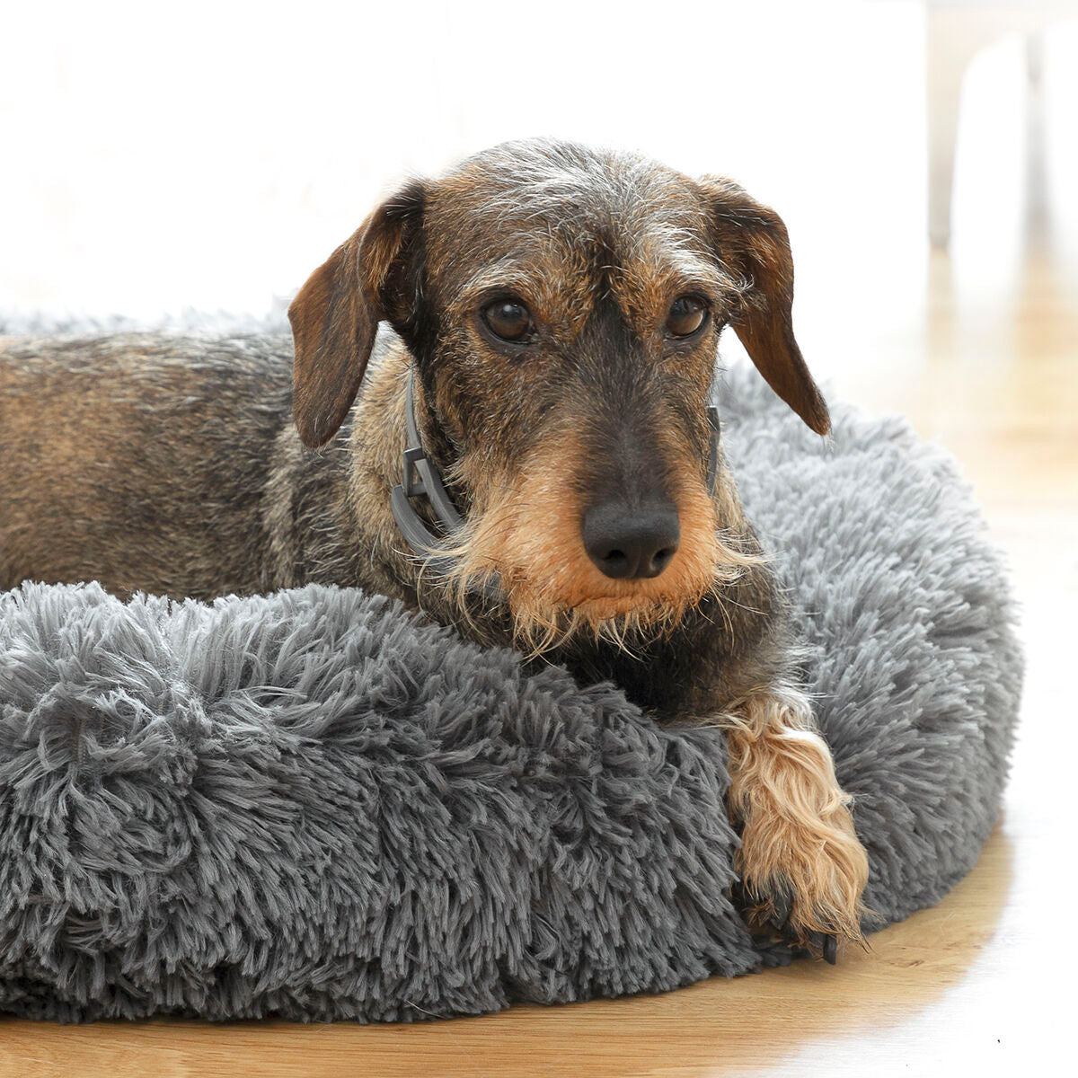 ''Heerlijk onstpannen knuffelbed voor uw hond of kat van InnovaGoods'' Ø 60 cm