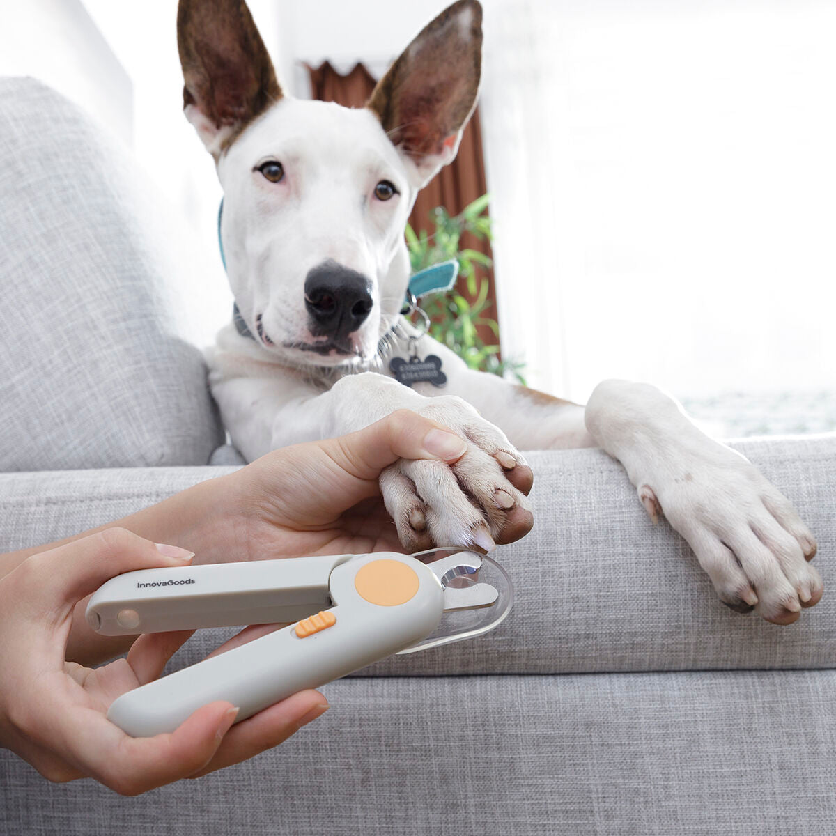 Veilige LED Nagelknipper voor Hond & Kat – Clipet InnovaGoods