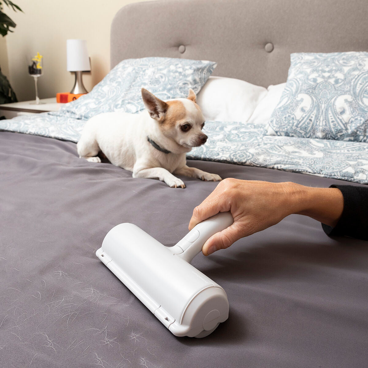 "Nooit Meer Haren op Meubels & Kleding – Rellair InnovaGoods"
