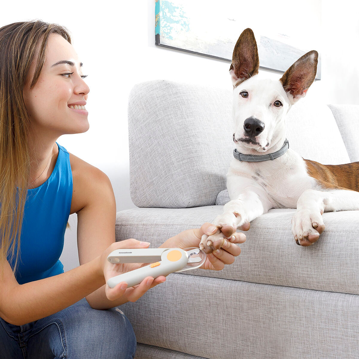 Veilige LED Nagelknipper voor Hond & Kat – Clipet InnovaGoods