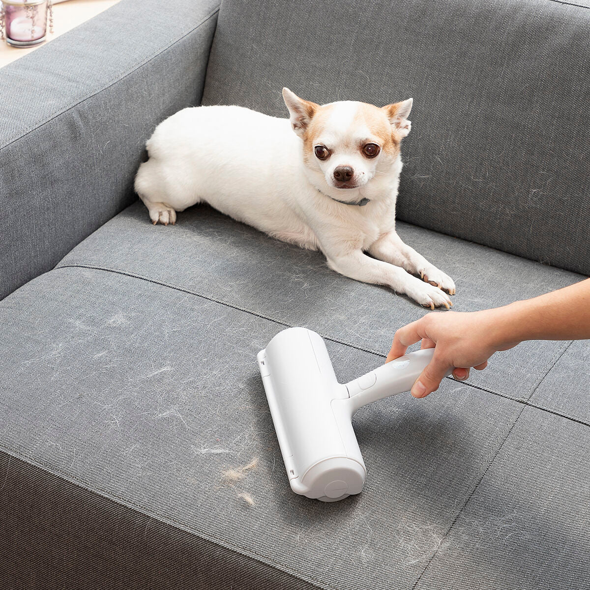 "Nooit Meer Haren op Meubels & Kleding – Rellair InnovaGoods"